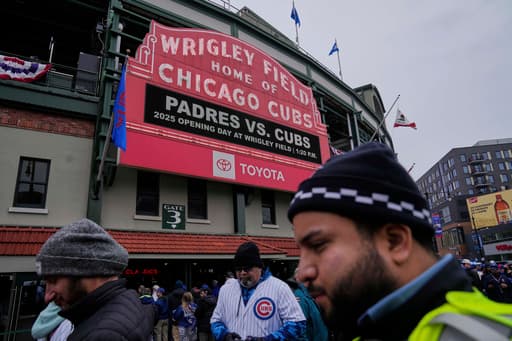 Geese make nest next to iconic Wrigley Field bleachers during Chicago Cubs games