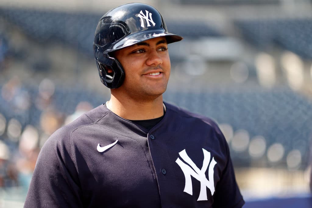 MLB: A Look at the Two Newest Yankees: Jasson Dominguez and Austin Wells