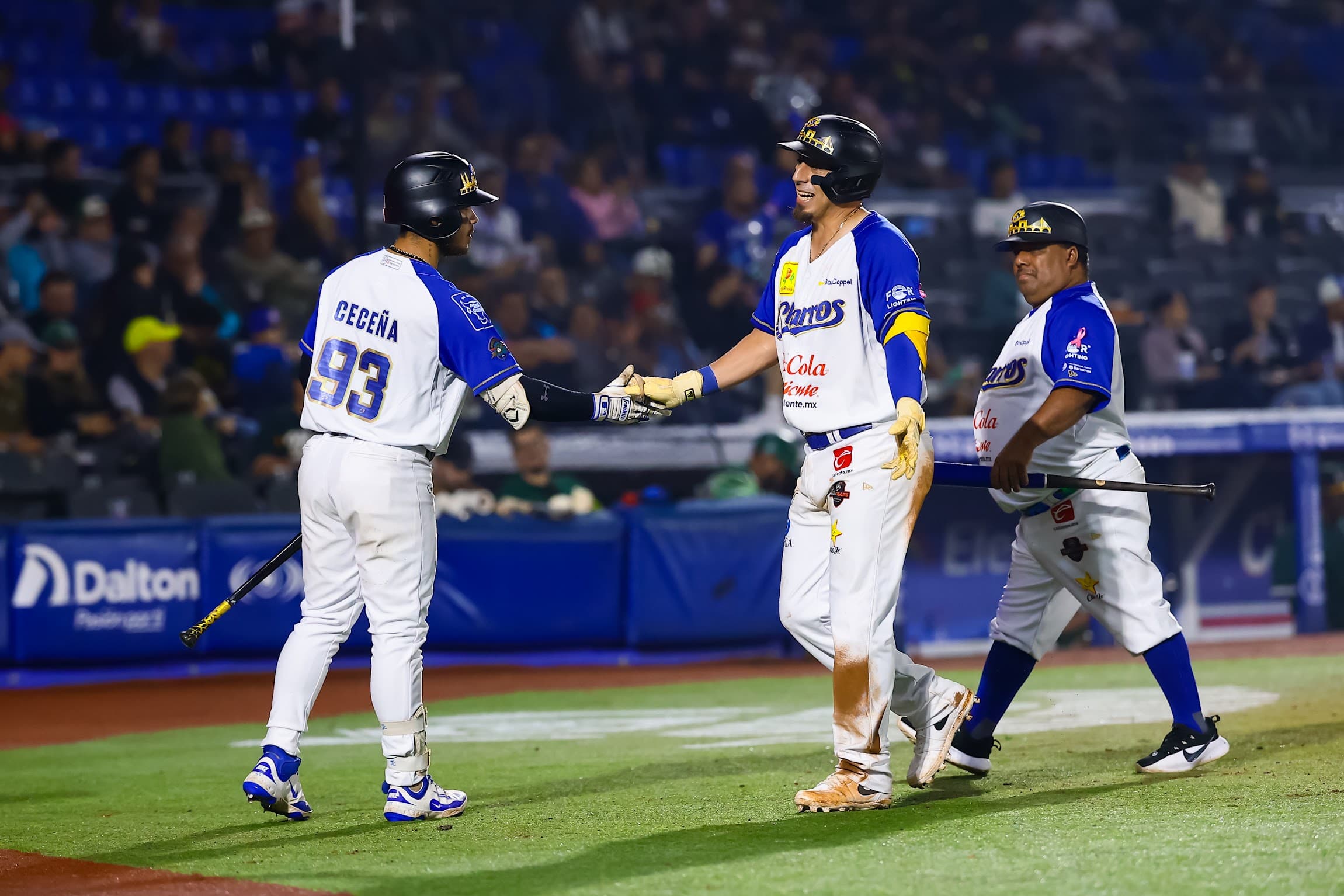 10292026 Castro Homer Jalisco