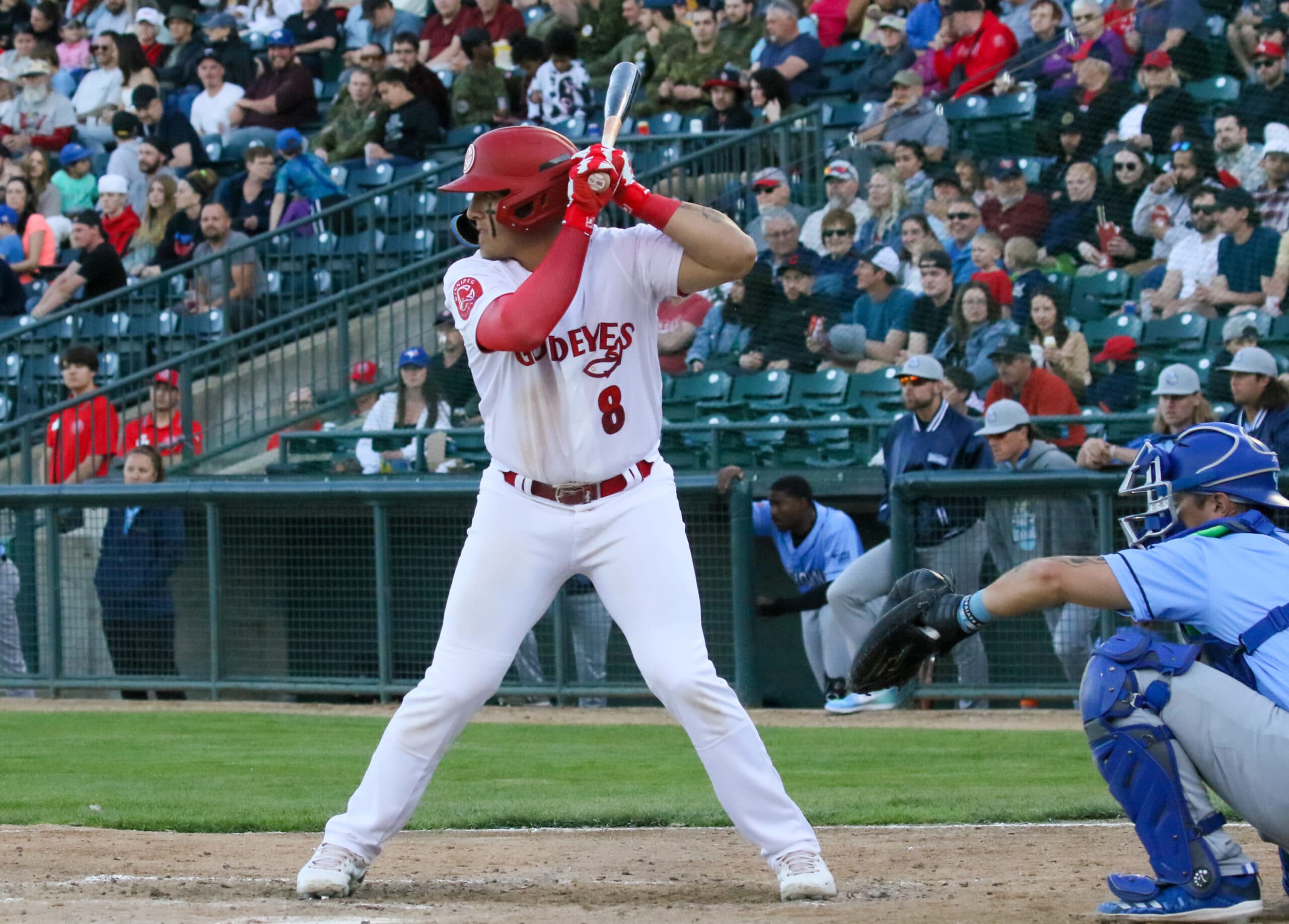 San Francisco Giants Receive IF Dayson Croes’ Contract From Winnipeg Goldeyes