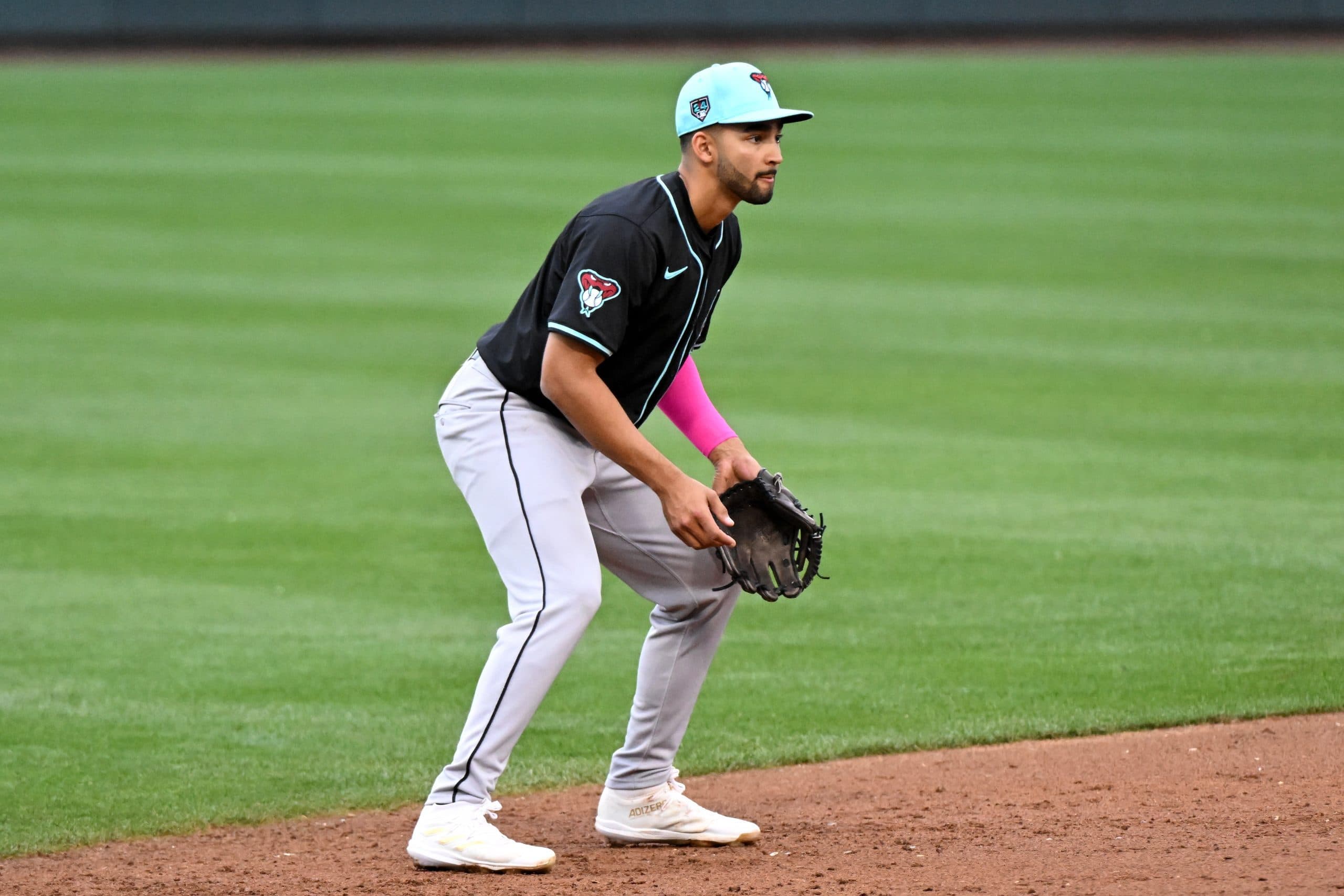 Liga de Béisbol Profesional de la República Dominicana (LIDOM ): News, Notes, and Where to Watch  