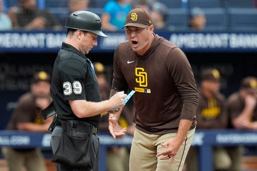 San Diego Padres manager Craig Stammen, right, screams at home plate umpire umpire Tyler Jones (39) after being ejected during the seventh inning of a baseball game against the Tampa Bay Rays Sunday, Aug. 30, 2026, in St. Petersburg, Fla. (AP Photo/Chris O'Meara) (AP Photo/Chris O'Meara)