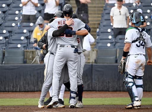 Tigers end 3-game slide with 9-3 rout of the Rays