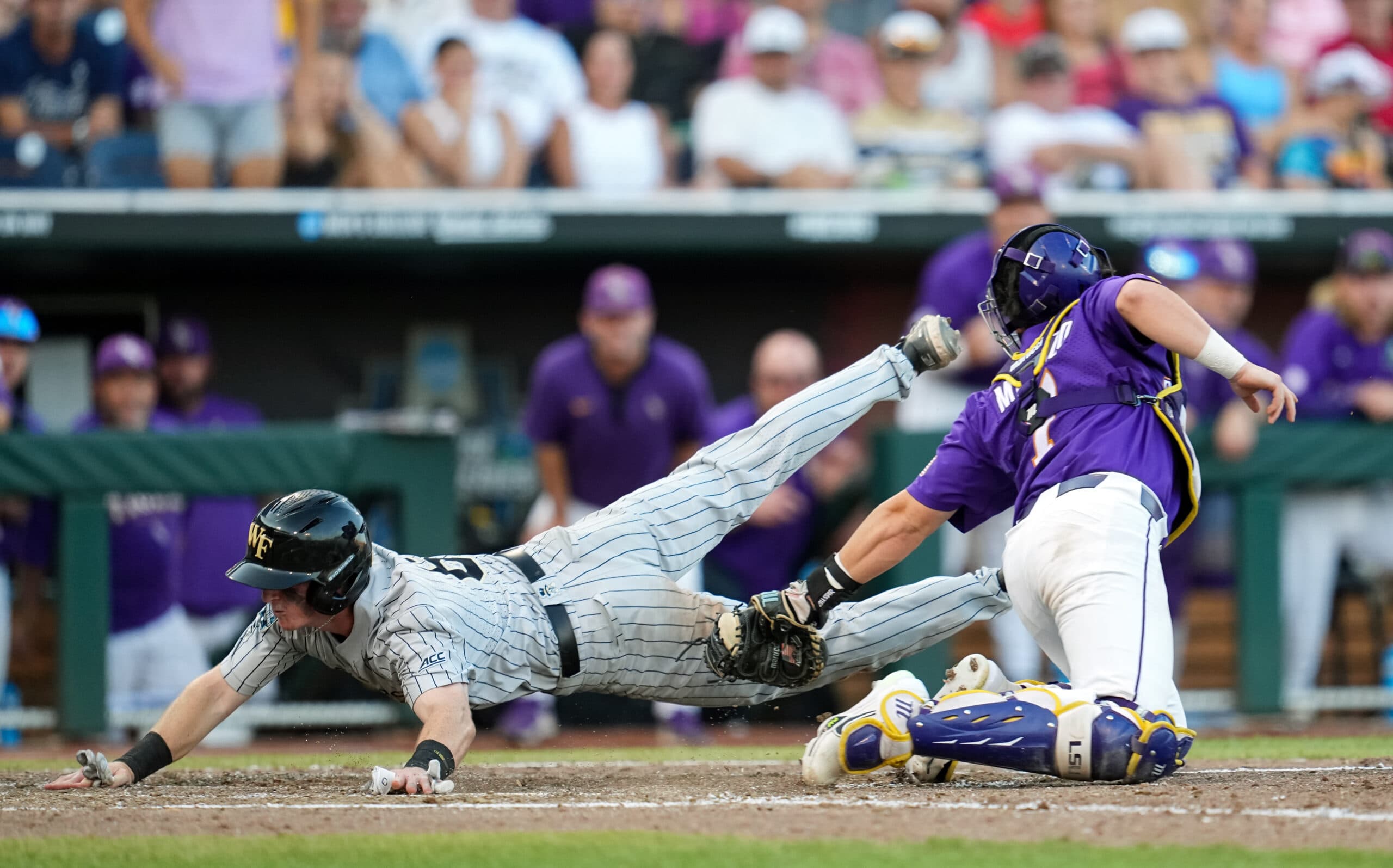College World Series: Florida Gators, LSU Tigers Square Off In Best-of-Three Final