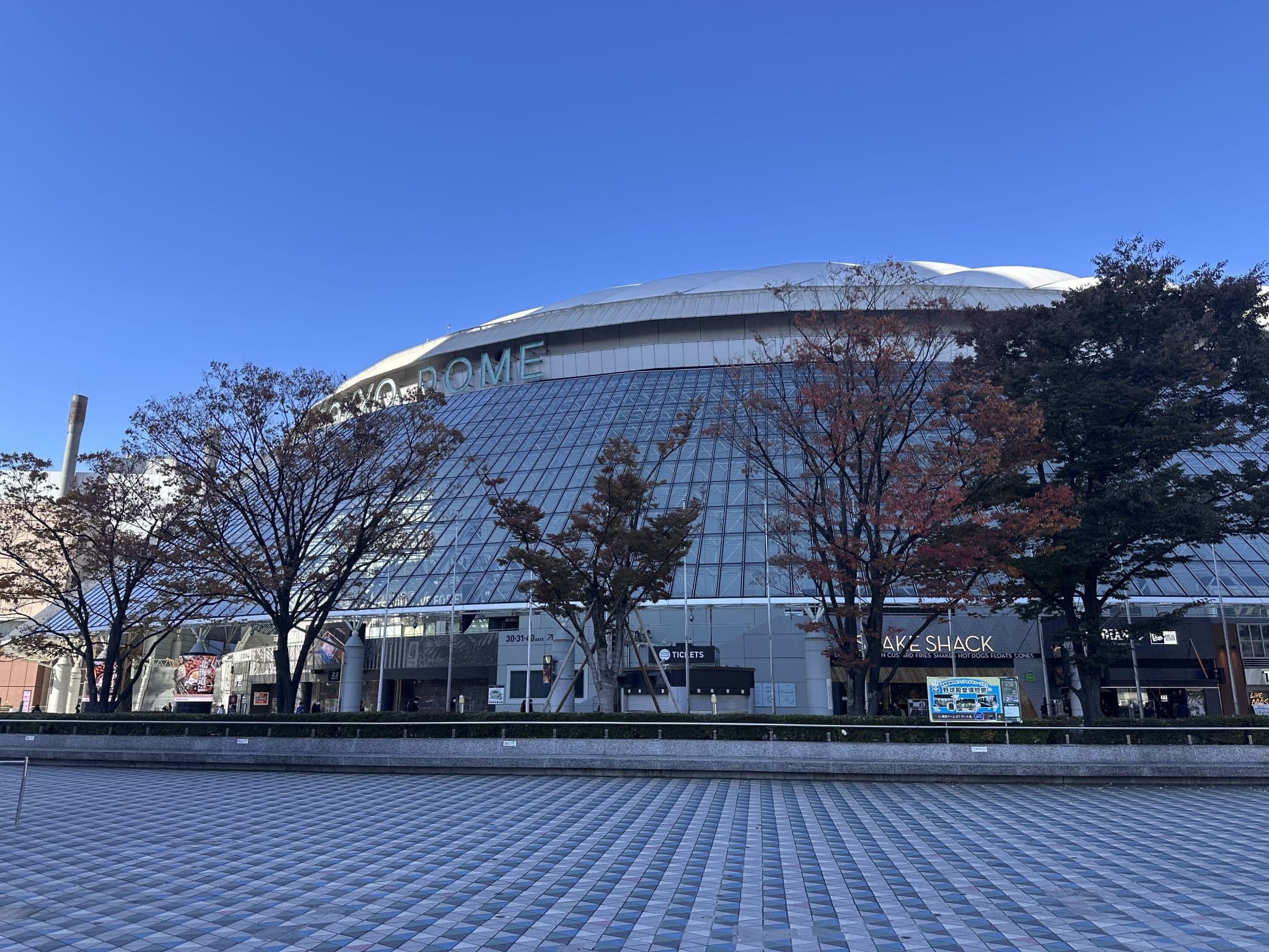 2026 World Baseball Classic: Australia Stays Undefeated with 5-1 Win over Czechia
