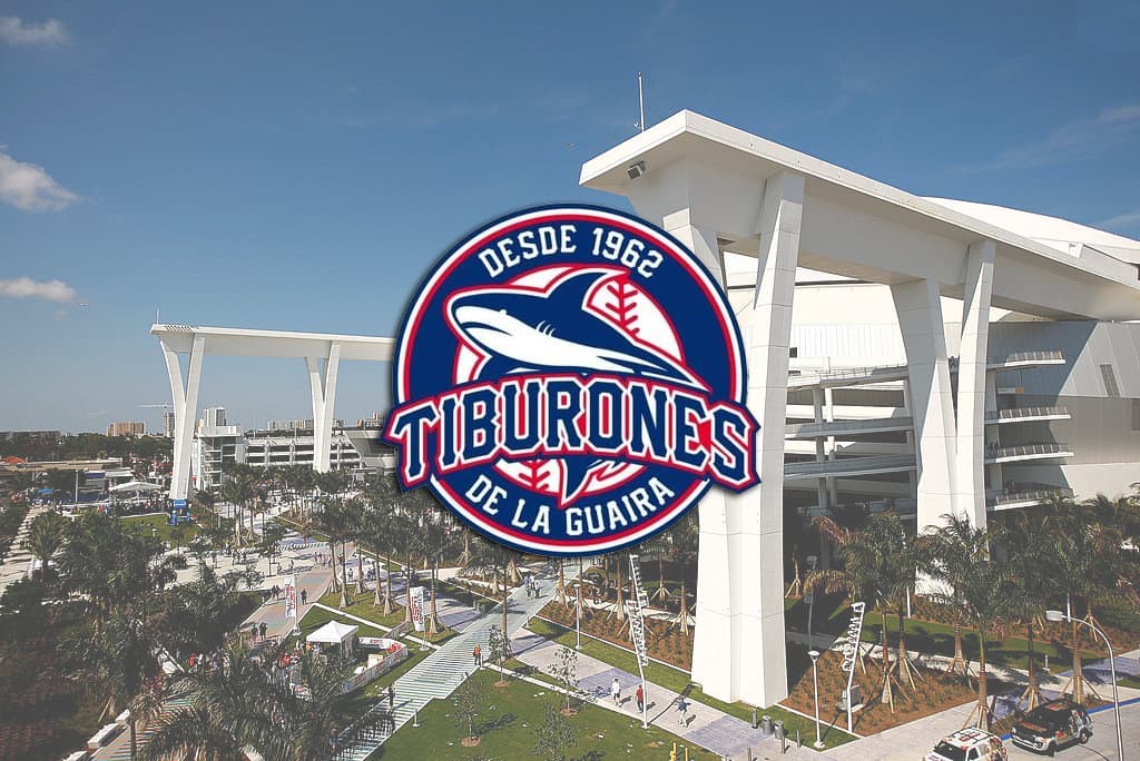 Venezuela’s Tiburones de La Guaira Hitting Their Stride At the Right Time